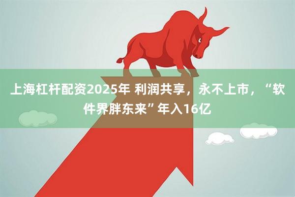 上海杠杆配资2025年 利润共享，永不上市，“软件界胖东来”年入16亿