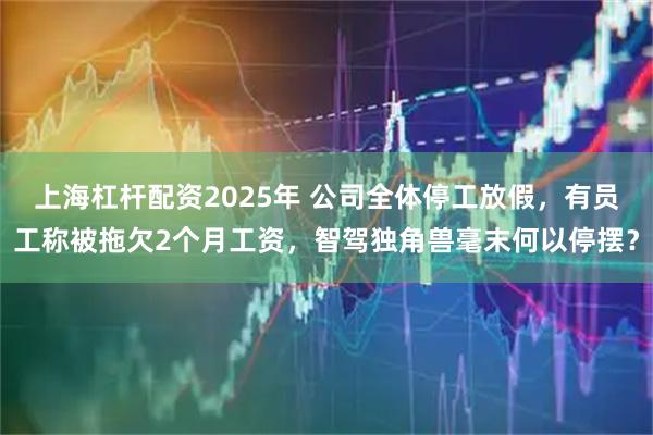 上海杠杆配资2025年 公司全体停工放假，有员工称被拖欠2个月工资，智驾独角兽毫末何以停摆？