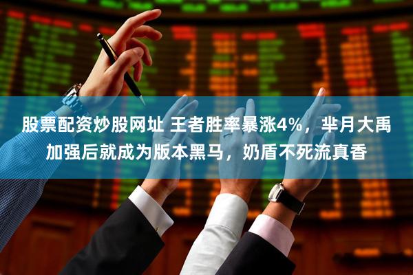 股票配资炒股网址 王者胜率暴涨4%，芈月大禹加强后就成为版本黑马，奶盾不死流真香